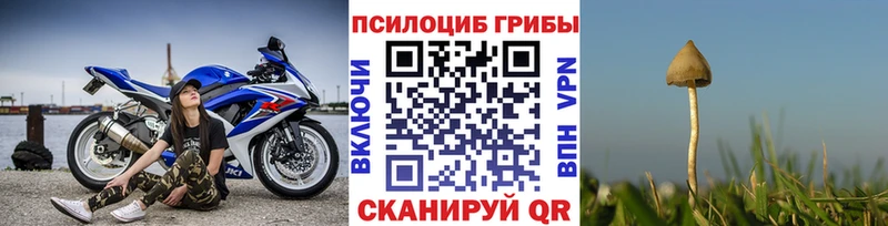 Галлюциногенные грибы прущие грибы  магазин    Кострома 
